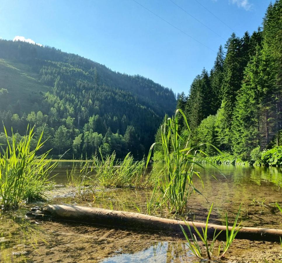 Das Geringer Schladming Eksteriør billede