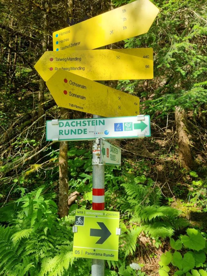 Das Geringer Schladming Eksteriør billede